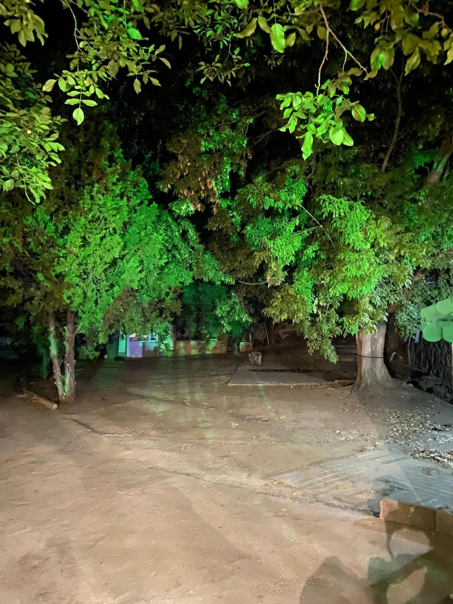 Erdem Ciftligi/ Ephesus Arena Apartamento Selçuk Exterior foto